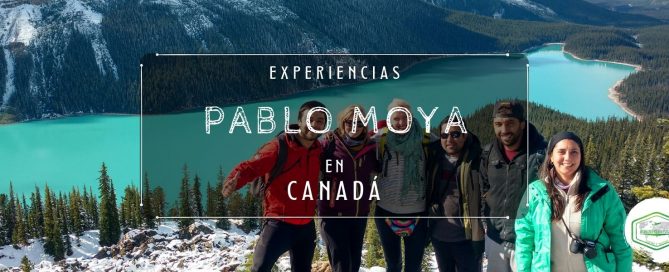 EXPERIENCIAS PABLO MOYA
