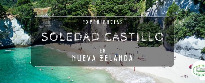 EXPERIENCIAS SOLEDAD CASTILLO