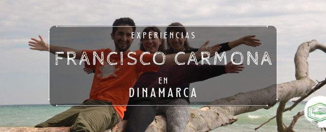 EXPERIENCIAS WORKING HOLIDAY DINAMARCA