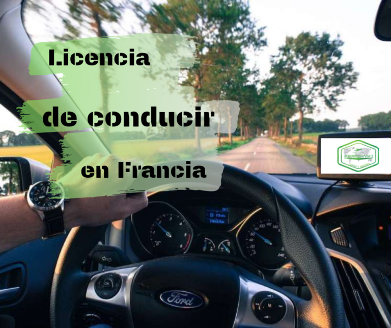 Licencia De Conducir En Francia - WORKING HOLIDAY VISA