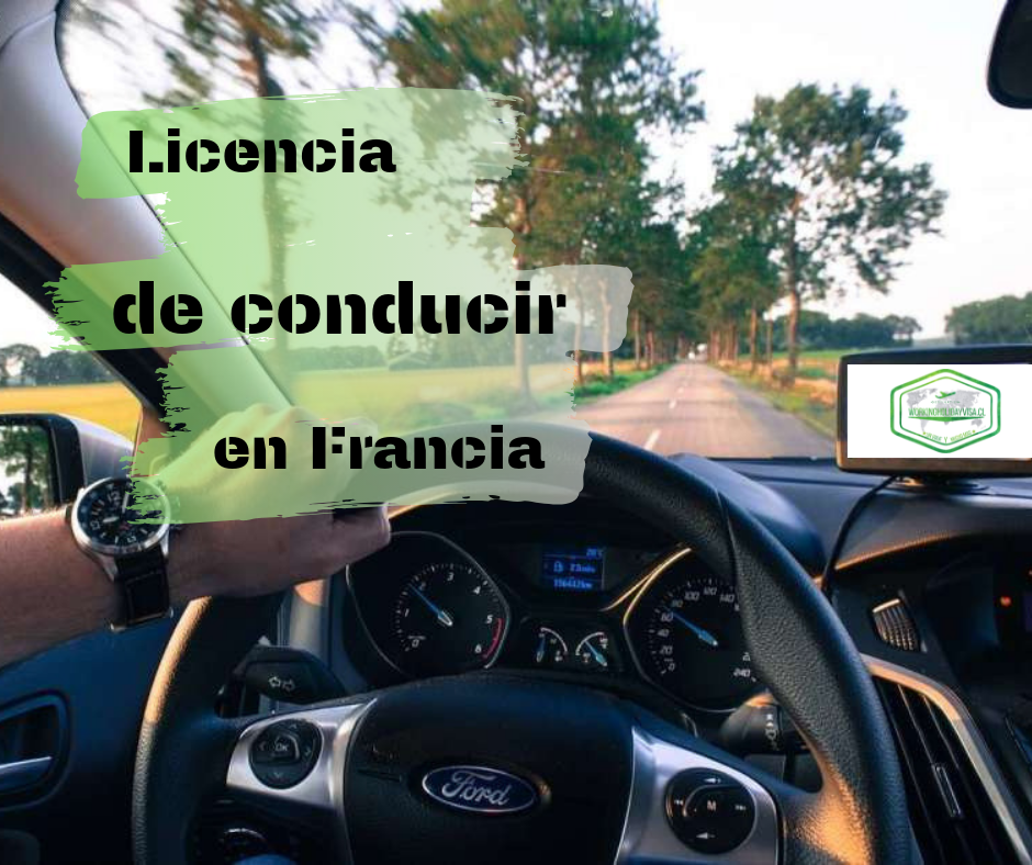Licencia De Conducir Mexicana En Alemania
