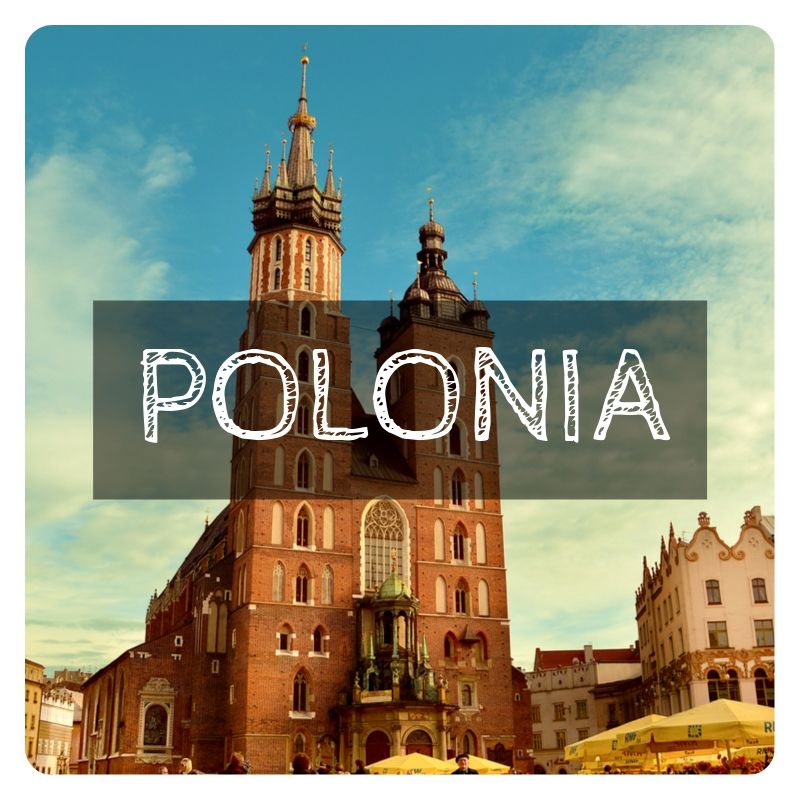 Working Holiday POLONIA