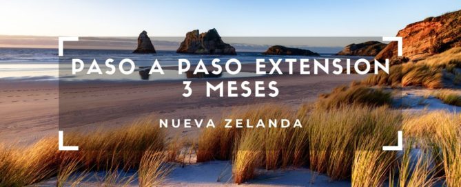 PASO A PASO EXTENSION  MESES